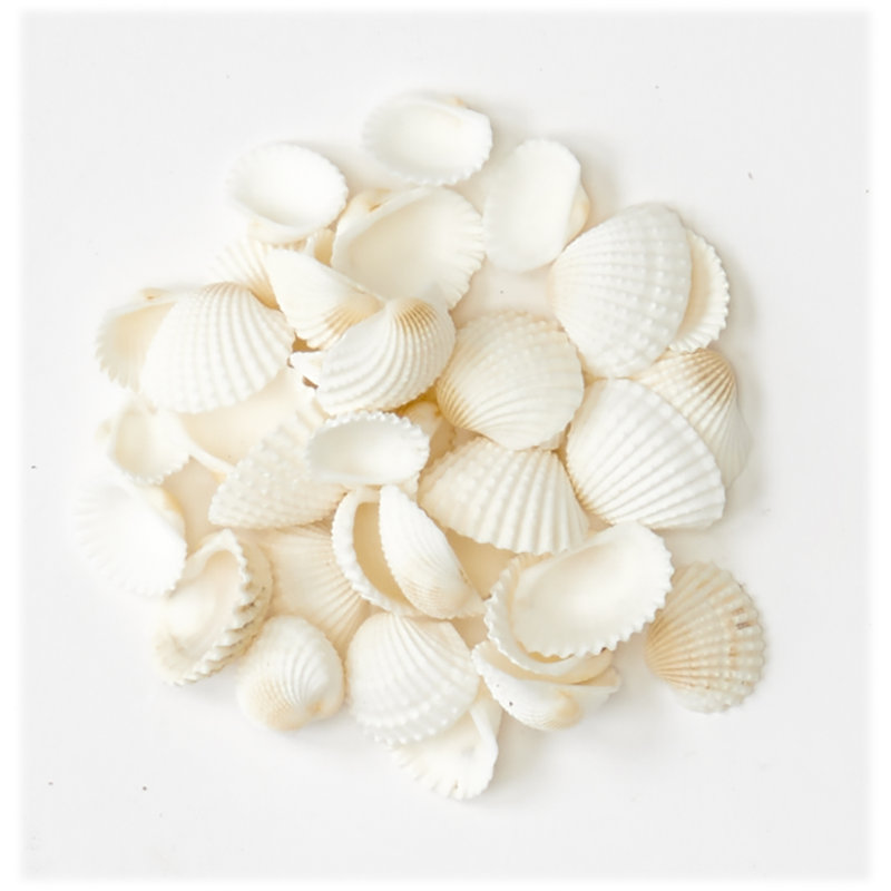Bouteille en verre Madore Shells