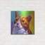 «Cat - Ernie» par Dawg Painter, art mural en métal-1564443700