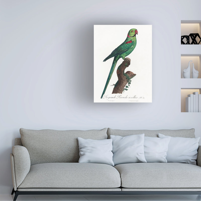 "Ologiste Perroquet VII "sur toile, H 24 po x l 18 po
