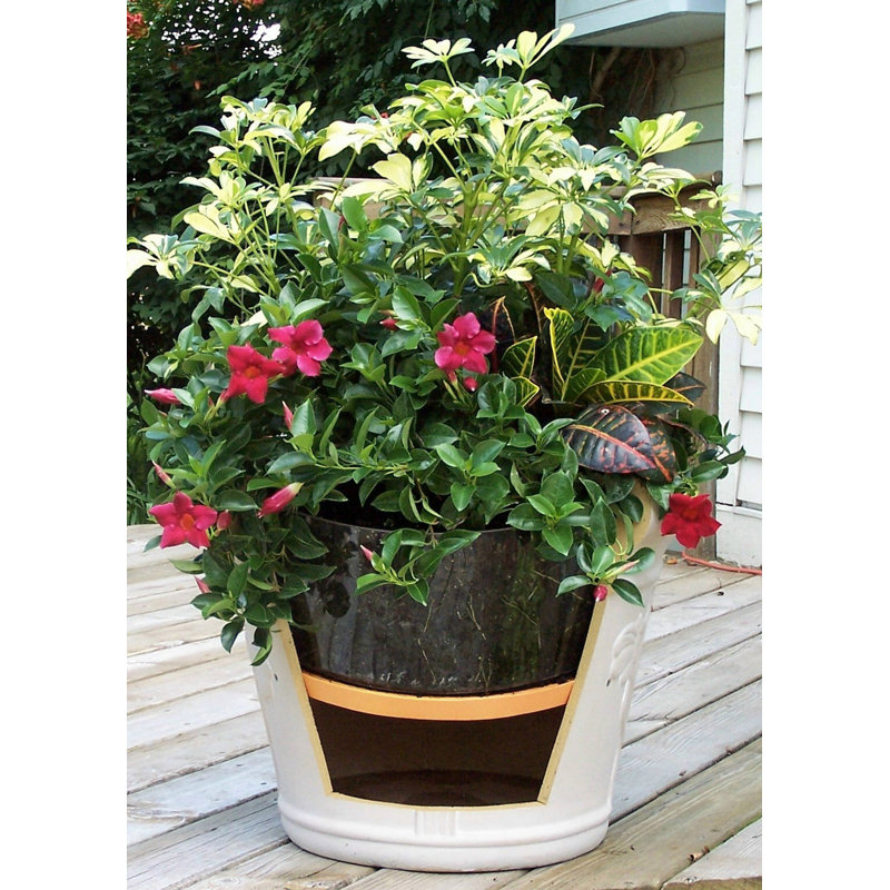 Bloem 15" Orange Round Plant Insert for Indoor and Outdoor Use