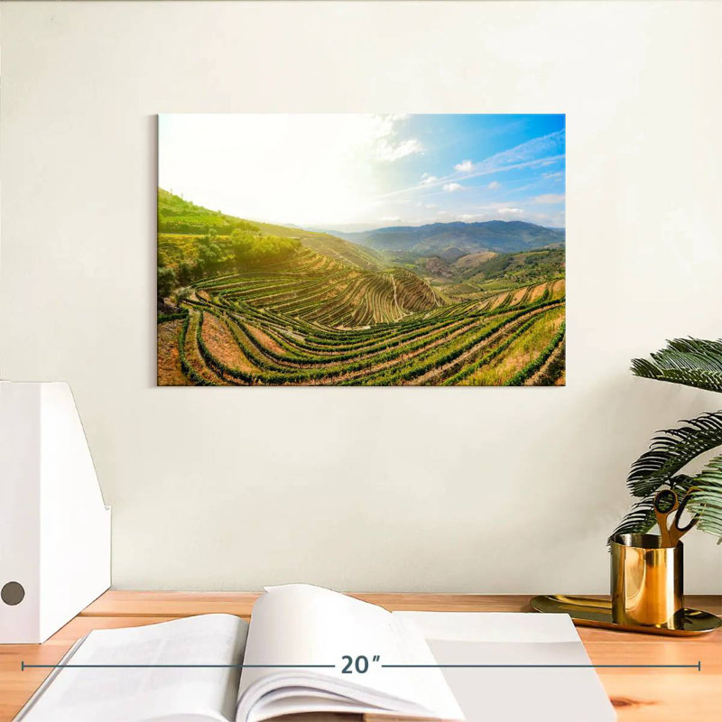 Alvord Douro Valley Morning, H 8 po x l 12 po