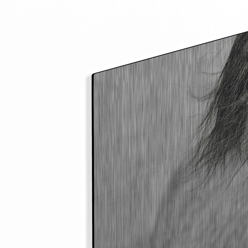 «My Beautiful Mane» par Lisa Dearing, H 24 po x l 36 po