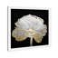 Or et lumière florale II - Peinture encadrée sur papier-68785406-68785409