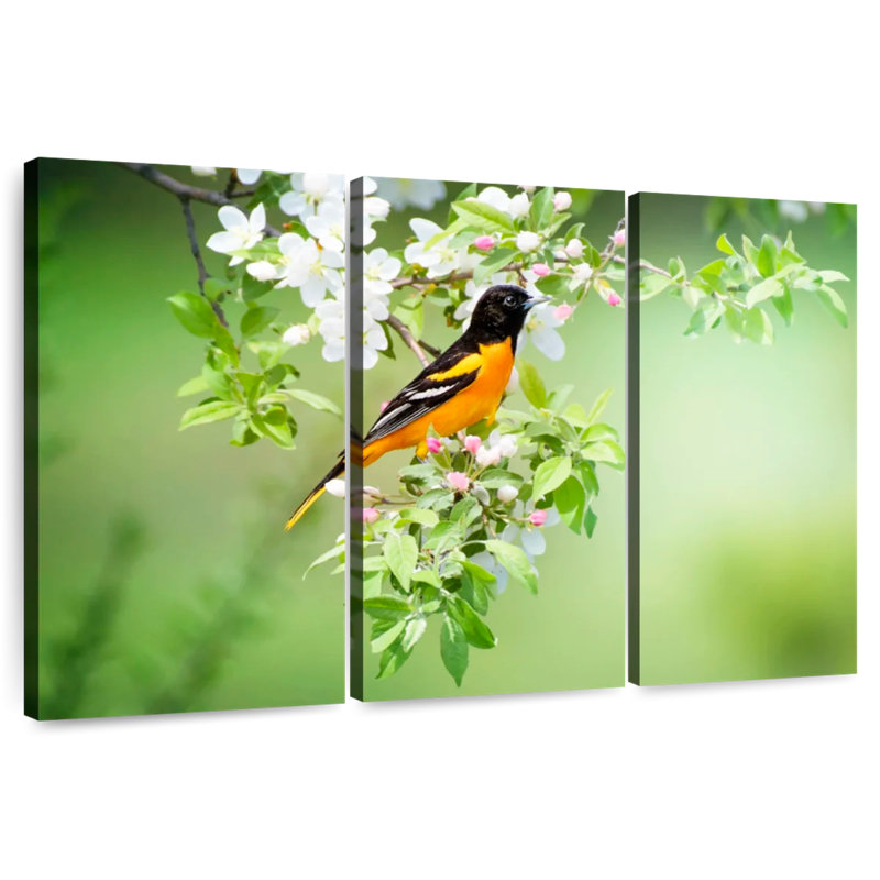 Brampt Oriole, 32" H x 50" W