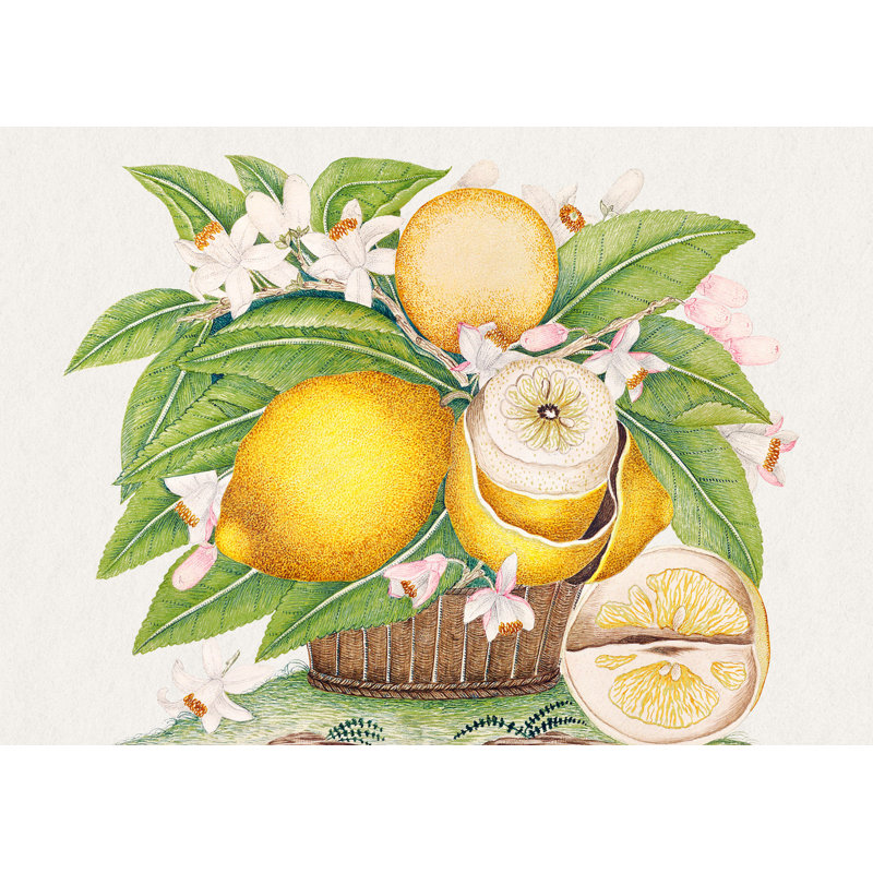Basket Of Lemons by Anonymous - Wrapped Canvas Art Prints, 60cm H x 80cm W x 4cm D