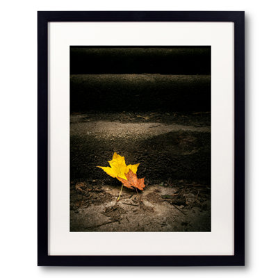 Plants & Flowers Print by Scott Norris