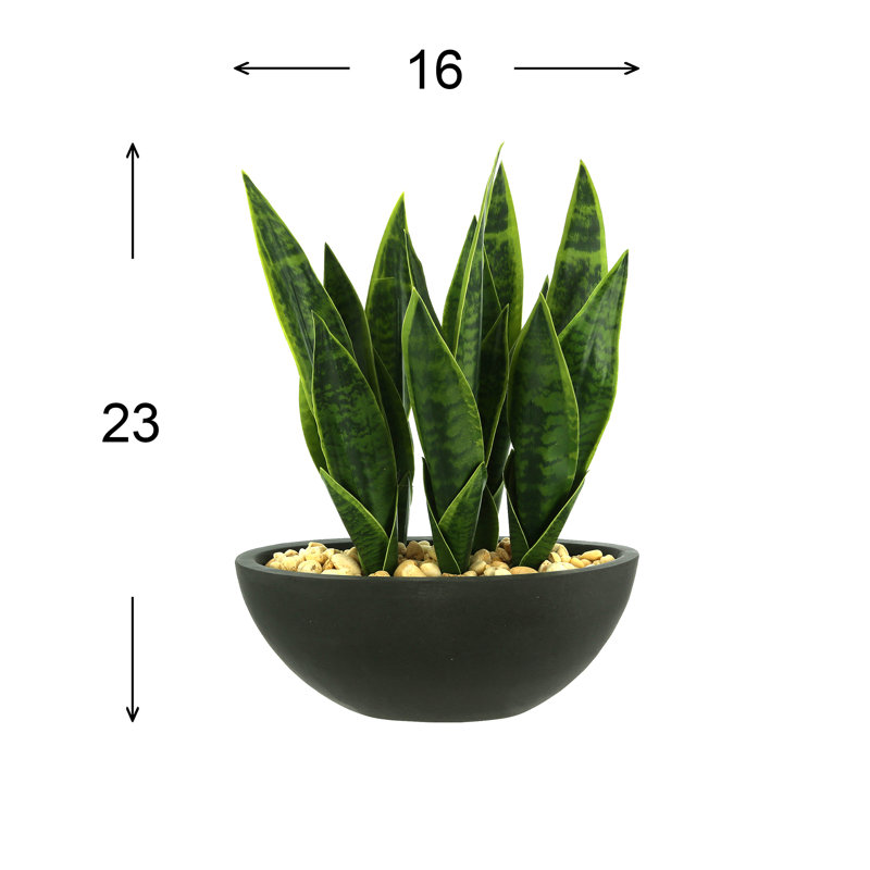 Snake Plant with Rocks in a Fiberstone Pot