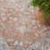 Jahmaad Oriental Indoor Rug