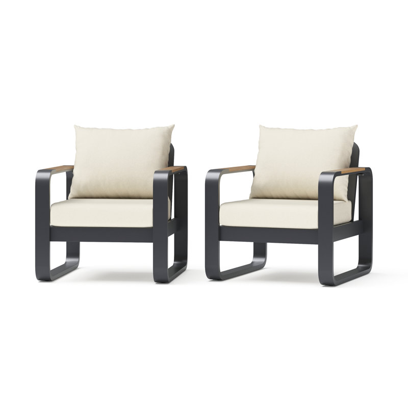 Andes Club Chairs (Set Of 2) - Olefin Linen