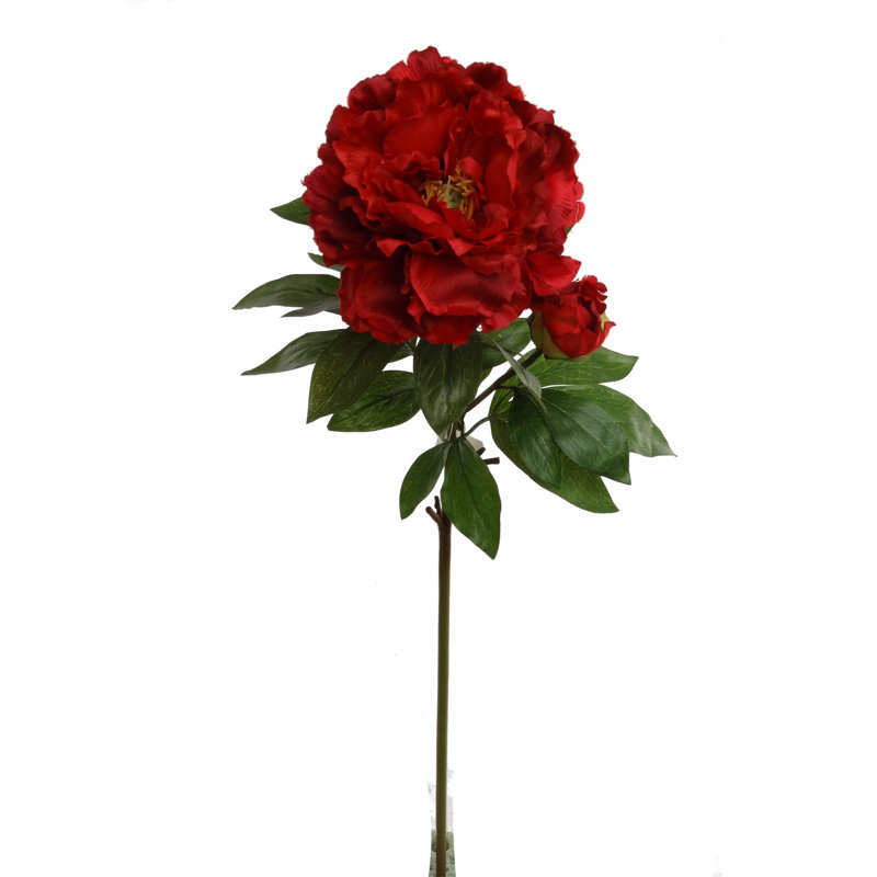 Tige de pivoine, Rouge, 3