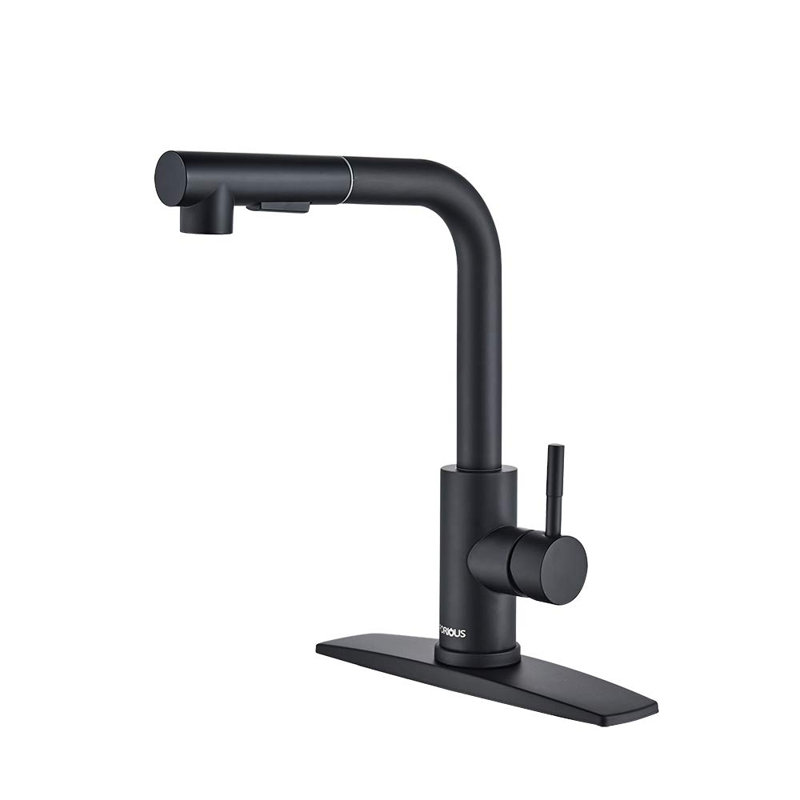 XWSI Pull Out Kitchen Faucet