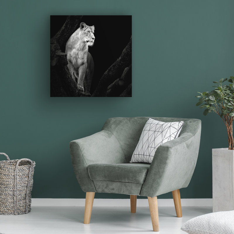 Art sur toile «Lion» Christian Meermann, L 14 po x H 14 po