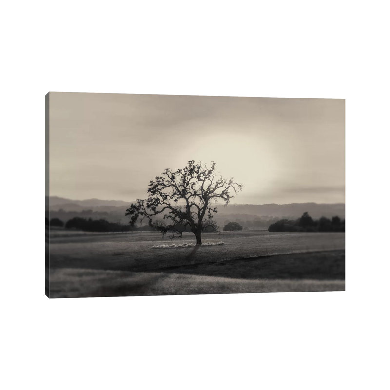 Solo 1 Piece Wrapped Canvas Wall Art, 66.04 cm H x 45.72 cm W x 3.175 cm D