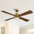 Camran 52'' Ceiling Fan with LED Lights