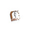 Carreau de porcelaine 24 x 48 Gravity 