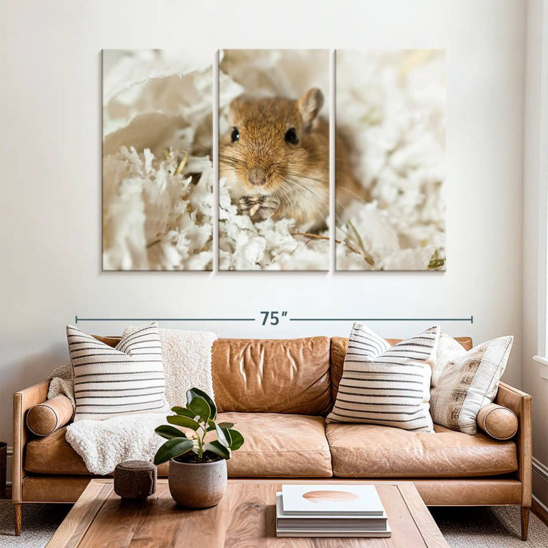 Pet Mongolian Gerbil