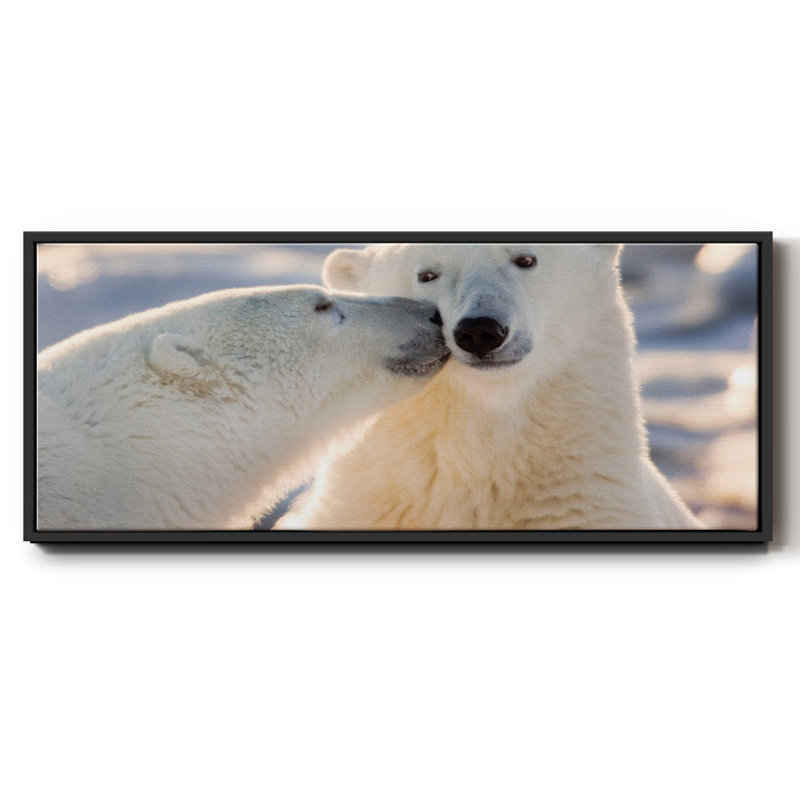Polar Bear Kiss- Framed Canvas