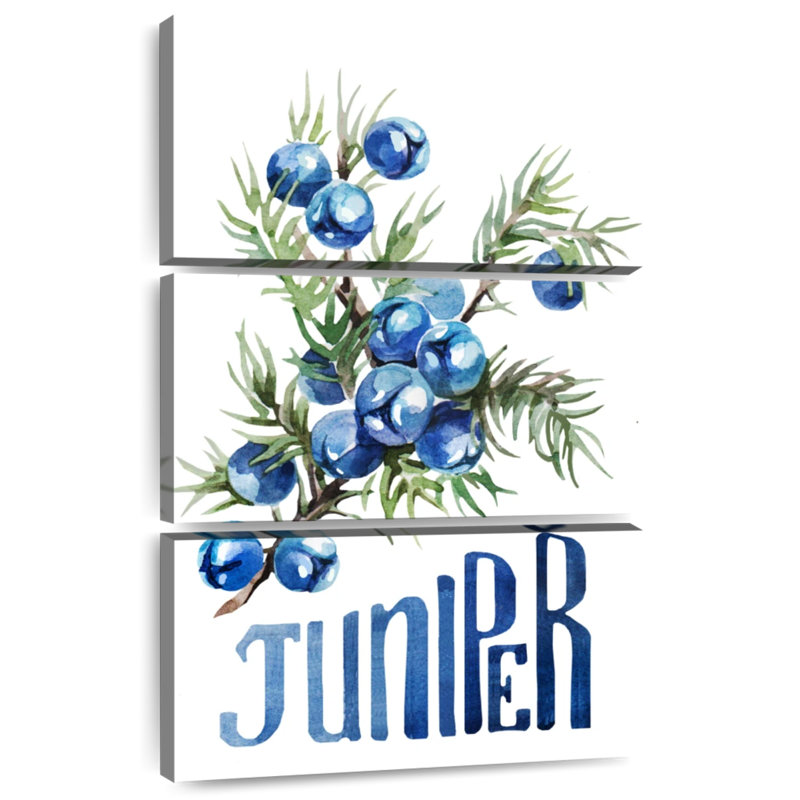 Yarlin Juniper Berries, 45" H x 28" W