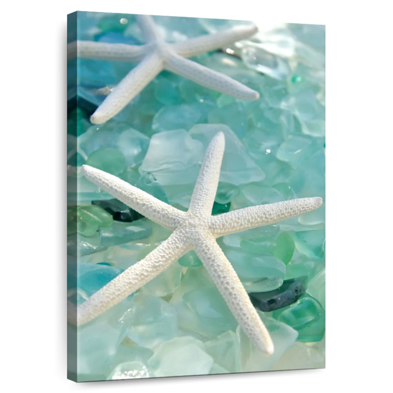 Seaglass i Aletra, H 24 po x l 16 po