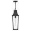 Hinkley Georgetown Hanging Lantern-346495688
