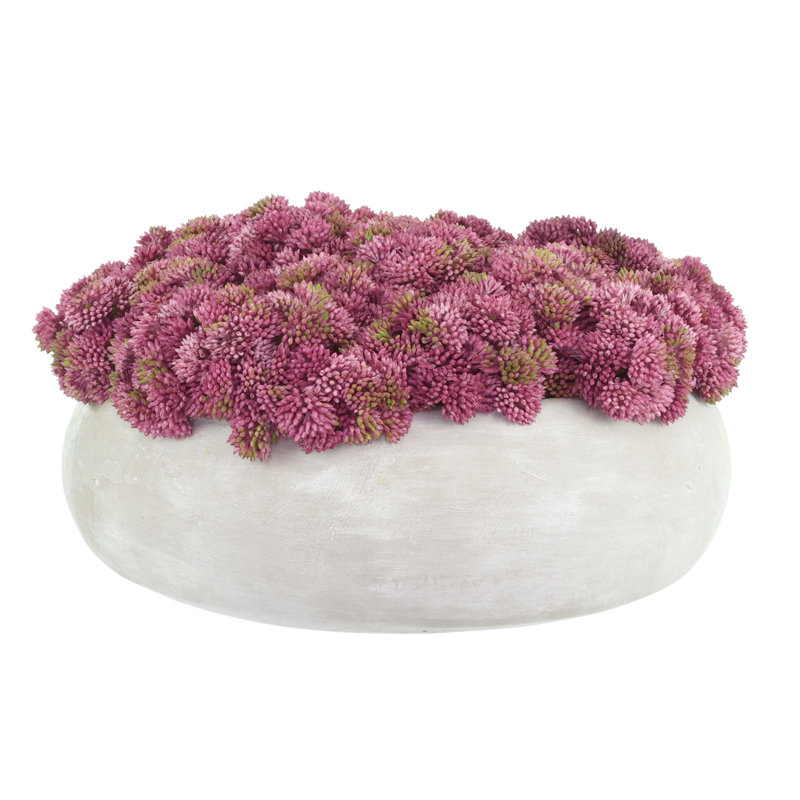 Sedum Arranged in a Stone Planter, Pink, 7" H x 11" W x 11" D