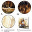 «Cute Beaver II», reproduction d'art sur toile-413090858-413090859