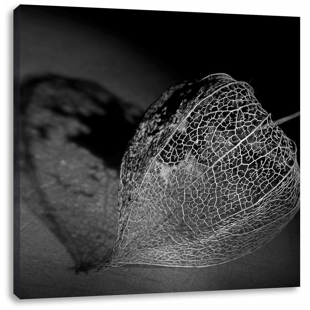 Leinwandbild Schatten einer Physalis