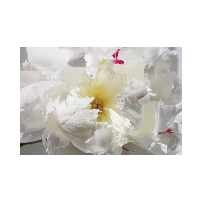 Breathless II by Irena Orlov - Wrapped Canvas Print, 20.32cm H x 30.48cm W x 1.91cm D