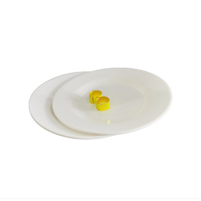 Glodine Decorative Plate 2