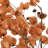 Preserved Cara Blossom Arrangement-94734870