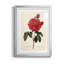 Red Botanical III - cadre photo, impression-1923949963-1923949957
