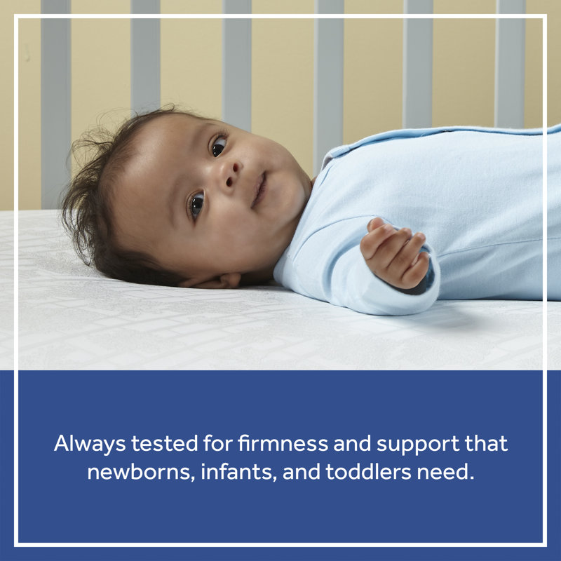 Sustainably Sourced 52.5" Hybrid Memory Foam & Innerspring Toddler Mattress