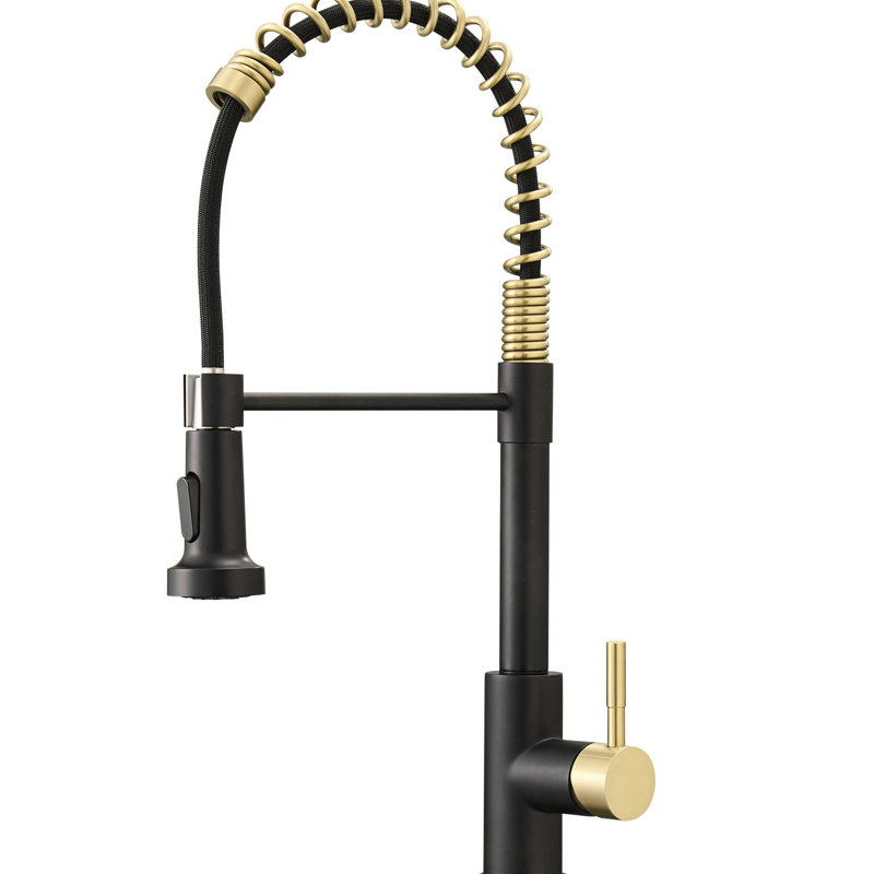 Robinet de cuisine de style contemporain avec robinet rétractable - assemblage de fuite - joint, régulation précise du débit d'eau, revêtement noir et or, contrôle