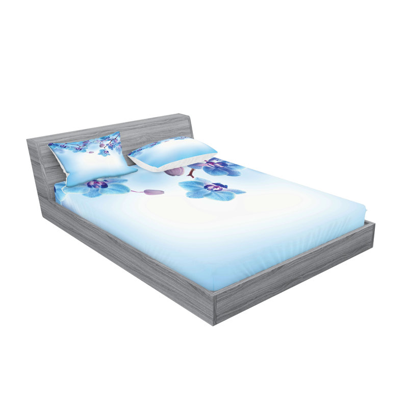 Drap-housse et coussin décoratif Ambesonne, Ensemble de draps pour grand lit + 5 pièces suppl