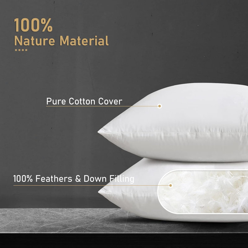 Down Feather Square Accent Pillow Inserts Set of 2, 16"H x 16"W