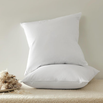 Insert de coussin carré en duvet de plumes