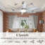Ceiling Fan