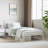 Briandra Metal Bed Frame with Headboard & Slats, No Mattress, Easy Assembly-1246883806-1246883807