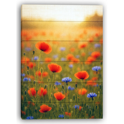 Sunlit Wildflower Meadow - Art sur toile de bois rustique