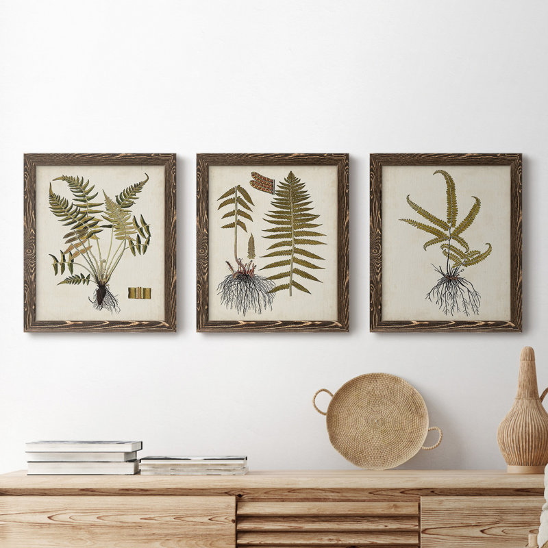 Fern Botanical IV - Ensemble de 3 peintures sur toile encadrées, H 24 po x l 36 po x P 1,5 po, Noyer
