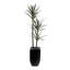 71"H  Artifical Yucca Tree with Pebbles in Black Tin Planter-39832109