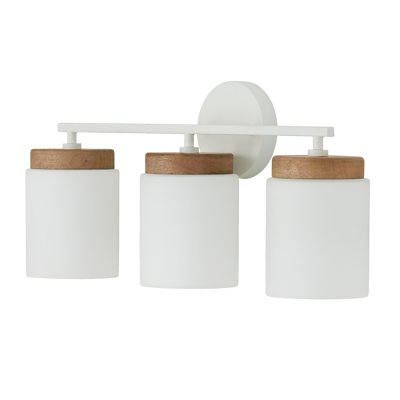 Donal 3 - Light Dimmable Vanity Light