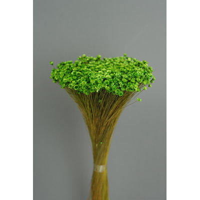Arrangement floral marguerite