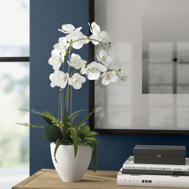 Arrangement floral orchidées dans un bol en céramique