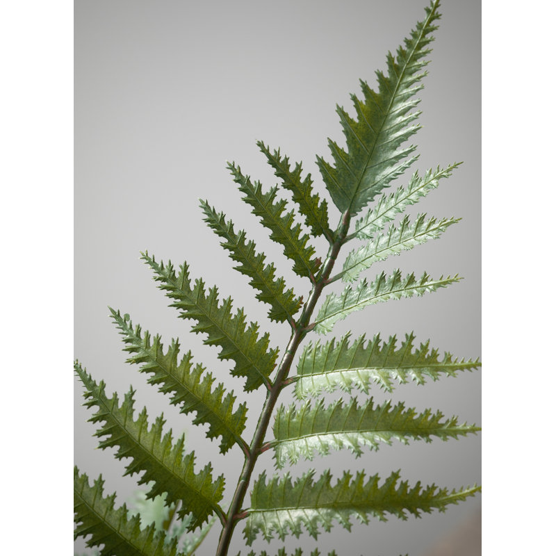 Fougère artificielle en pot, H 27 po x l 16 po x P 16 po