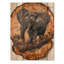 Éléphant sous le baobab, diapositive en bois I - Éléphant, art mural en bois animal - sur bois de pin naturel-1279592724