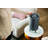 BISSELL MYAir + Air Purifier