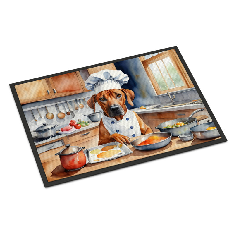 Eera Non-Slip Indoor Only, Outdoor Doormat, 24" W x 36" L