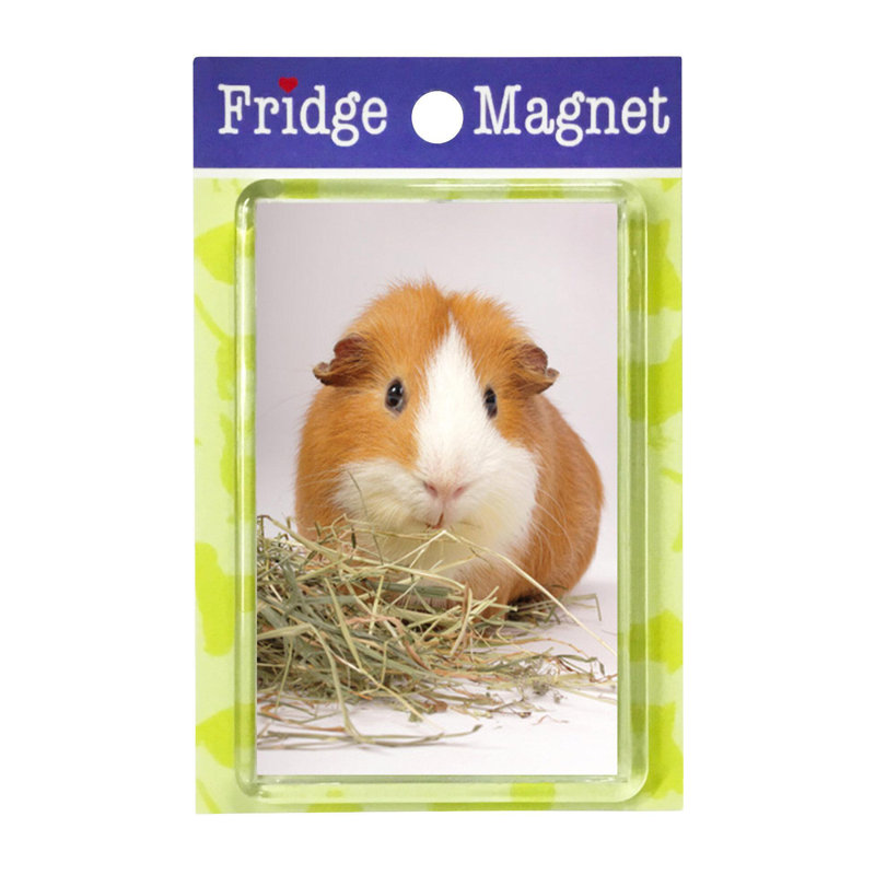 Fridge Magnet