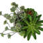 Ensemble de 2 plantes grasses artificielles, fausses plantes en pots de ciment beiges, table moderne et tablette décorative